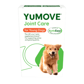 Joint Care for Young Dogs Joints