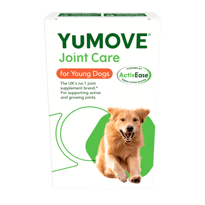 Joint Care for Young Dogs Joints
