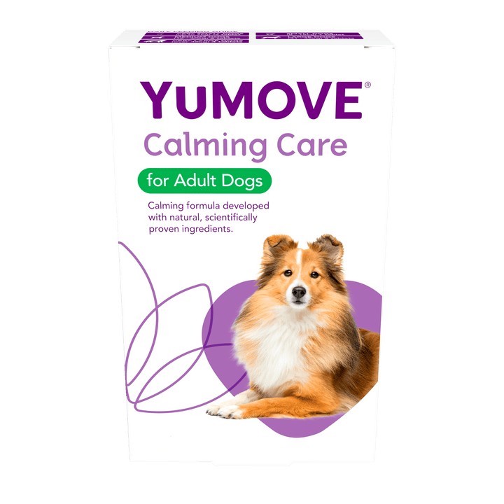 Calming Care for Adult Dogs Calming