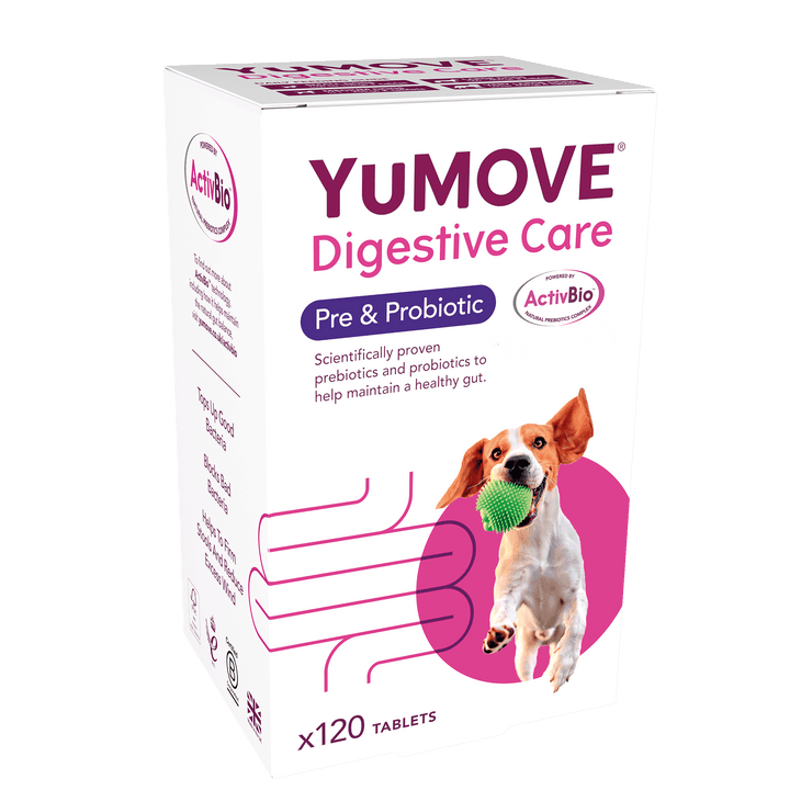 Digestive Care Pre & Probiotic Digestive Health 120 Tablets