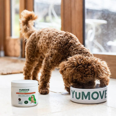 Joint Care Daily Bites for Young Dogs 150 soft bites 2