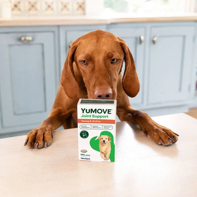 Joint Care for Young Dogs Joints 2