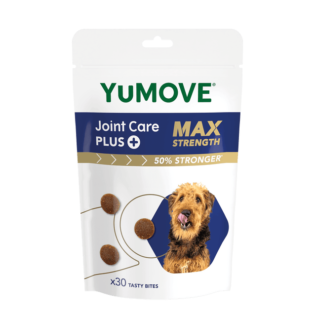 Joint Care PLUS Max Strength Bites Joints1
