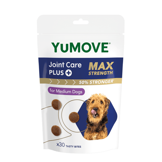Joint Care PLUS Max Strength Bites Joints 30 Medium Bites6
