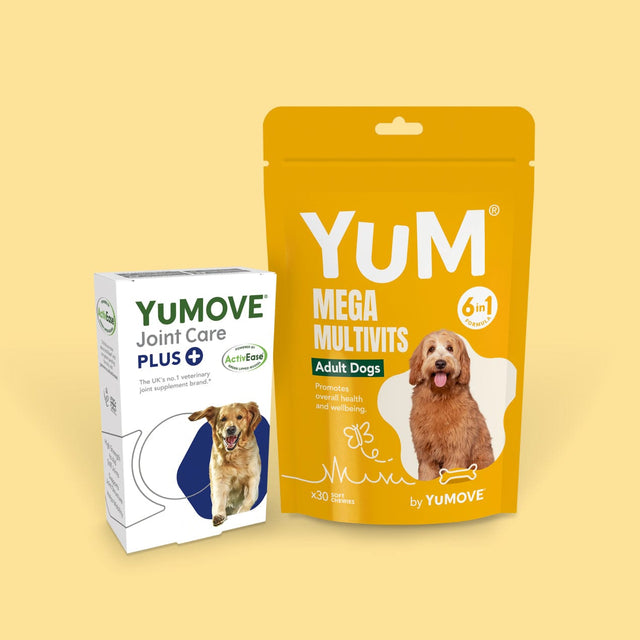 Adult Dog Bundle Lite Bundle 30 Soft Chewies / 30 Tablets3