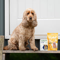 Adult Dog Bundle Lite Bundle bullet 2