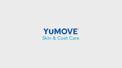 Skin & Coat Care Moulting for Cats 2