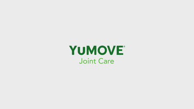 Joint Care for All Cats 2