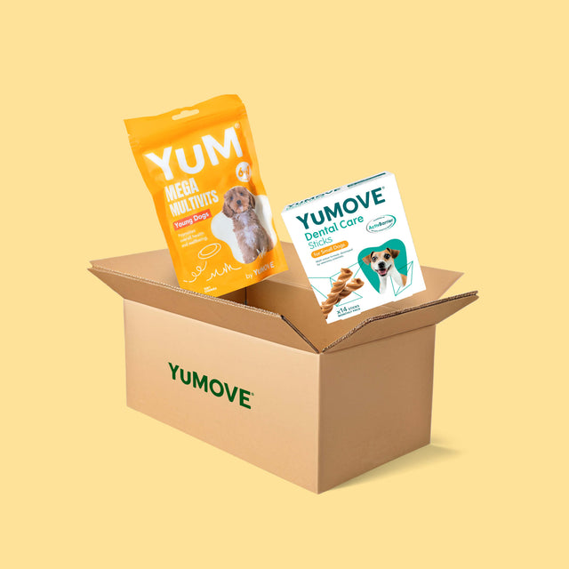 Puppy Bundle Lite1