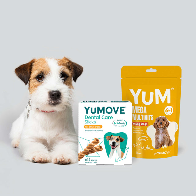 Puppy Bundle Lite3