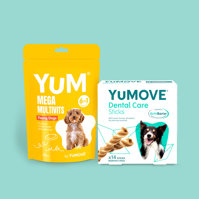 Puppy Bundle Lite4